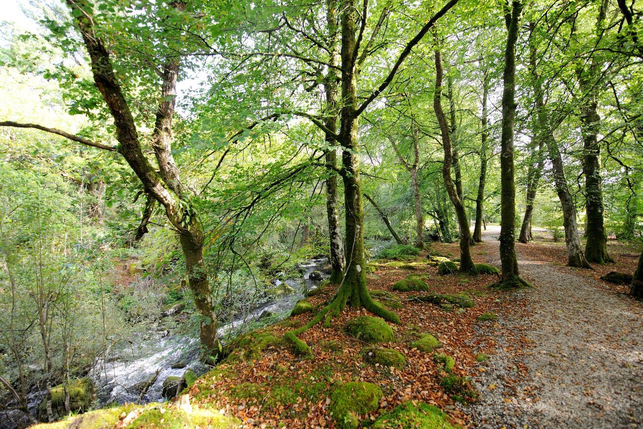 Gidleigh Park- A Relais & Chateaux Hotel Chagford Dış mekan fotoğraf